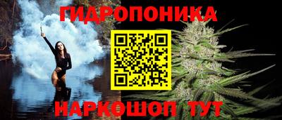 гидропоника Канаш