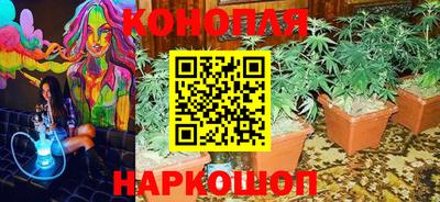 гидропоника Канаш