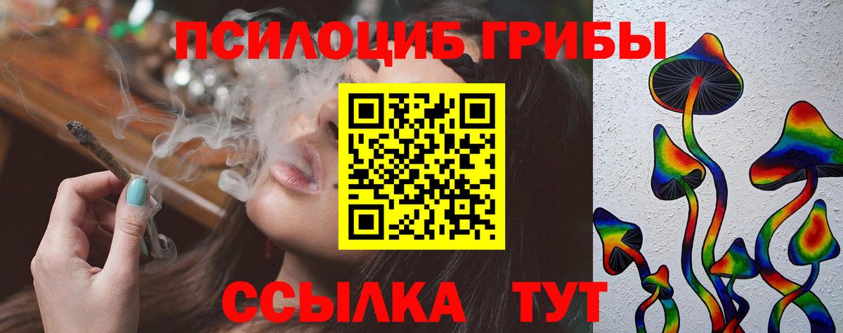 Псилоцибиновые грибы Cubensis  Псилоцибиновые грибы Psilocybine cubensis  Дербент  Вход с VPN 